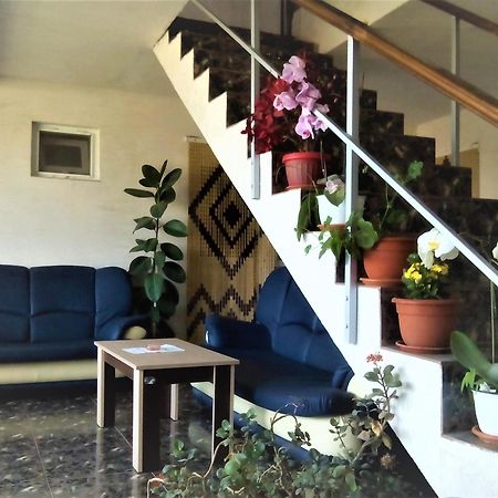 Vila Nico Costinesti Ngoại thất bức ảnh